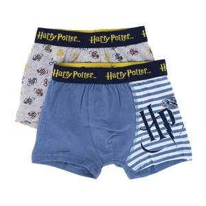 Textiel Trade Harry Potter Toddler Boys Boxer Briefs (2 Pack) - Picture 1 of 4