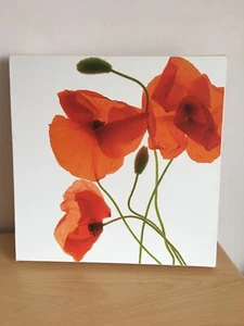 Laura Ashley Red Poppies Poppy Canvas Print Picture Wall Art Flowers - Picture 1 of 10