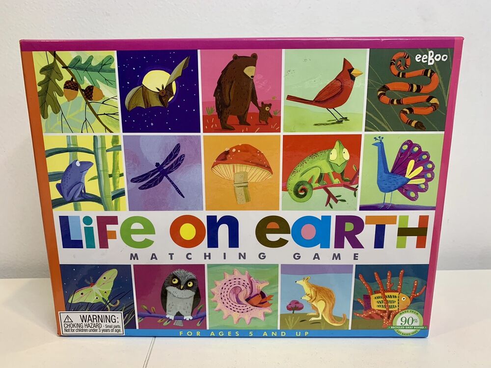 eeBoo Life on Earth Memory Matching Game for Kids 5+ COLORFUL Home School EUC