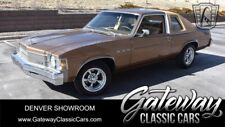 1976 Buick Skylark 