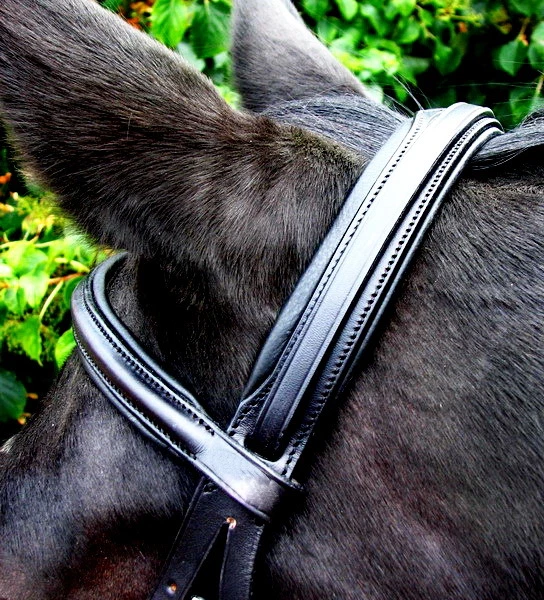 FSS Komfort weich gepolstert deutsches Leder gerade rund erhöht Stirnband 5/8" SCHWARZ