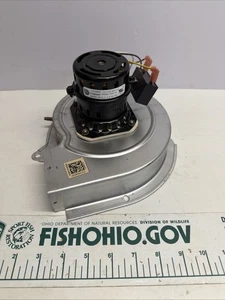 MOTOR INDUCTOR DE TIRO Y3L248B01 0131M00002P - Imagen 1 de 4