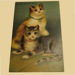 Antique 1911 PFB Paul Finkenrath Postcard With Tender Love Two Cats Kittens - Picture 1 of 2
