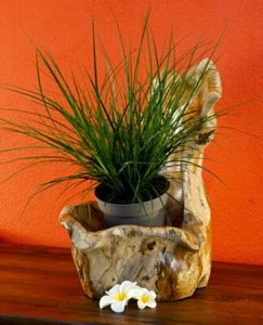 Wurzelholz Schale Übertopf Teak Holz Schale Orchideen Topf Dekoration Blumentopf - Bild 1 von 5