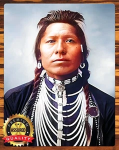 Chief Thundercloud - 1898 - Blackfoot Indian Chief - Raro - Letrero de metal 11 x 14 - Imagen 1 de 4