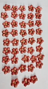 Lotto di 40 fiori conchiglia di mare ROSA fatti a mano vintage anni 50 artigianali + - Foto 1 di 3