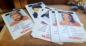 WWE Vintage wcw trading cards bundle stinr lex luger brian pillman scott stiener - Imagen 1 de 11