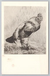 Postal de arte francés de gallo viejo, grabado por Bracquemond - Imagen 1 de 2