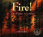 Fire! : The Renewal Of A Forest Paperback Celia Godkin