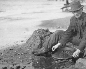 Man Panning Gold On Alaska Beach Vintage 8x10 Reprint Of Old Photo - Bild 1 von 1