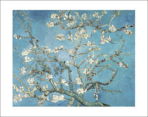 Van Gogh - Almond Blossom - fine art giclee print poster wall art WITH BORDER
