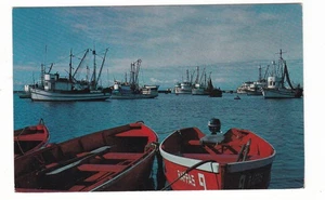 Monterey Harbor, Kalifornien Vintage Postkarte / Fischereiflotte Boote - Bild 1 von 2