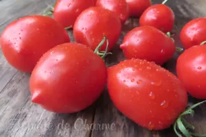 10 seltene Tomatensamen Britains Breakfast (Rec.2019) - Bild 1 von 4