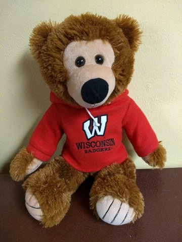 Wisconsin Badgers Stuffed Plush Hoodie Bear Cover