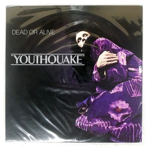 DEAD OR ALIVE YOUTHQUAKE EPIC 283P615 Japan INSERT VINYL LP - Picture 1 of 1