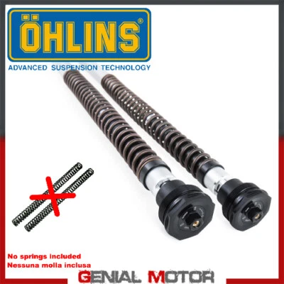Ohlins Kit Cartuccia NIX 30 STREET Yamaha Mt-09 (fz-09) 2014 > 2020 FKS 504 Foto 1 de 2