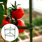 3 ensembles de cadre d'escalade de plantation de vigne cages de jardin pieux support tomate