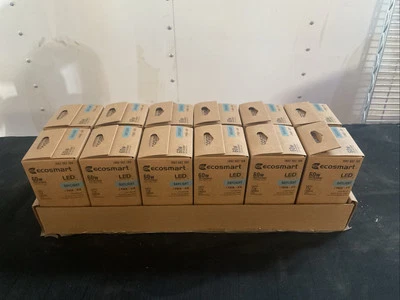 New Box Of 12 EcoSmart 60W A19 LED Light Bulbs T20 120v 8.5W 5000K 840lm - Image 1 of 4
