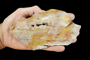 AGATA DIASPRO lastra 7" x 4" fetta lapidaria roccia grezza esemplare minerale guarigione - Foto 1 di 2