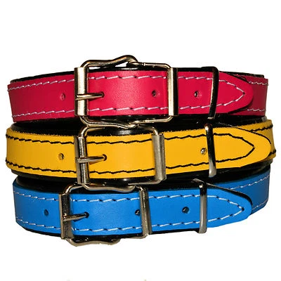 DINO DOG PUPPY LEATHER COLLARs BLACK PADDED BLUE YELLOW PINK small medium large