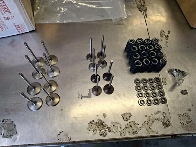 01-04 Corvette Z06 LS6 RELLENO DE SODIO EX. VÁLVULAS Y VÁLVULAS DE ADMISIÓN DE VÁSTAGO HUECO OE Foto 1 de 4