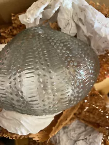 Pottery Barn Glas Seeigel GROßE Leuchte Maritim Küste Strand - Bild 1 von 3
