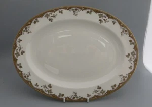 Royal Doulton Lynnewood TC1018 - Plato ovalado 13" 33 cm - Imagen 1 de 6