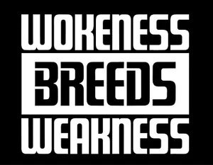 WOKENESS BREEDS WEAKNESS 6X5 Vinyl Decal / Sticker / Window Sticker Graphic - Picture 1 of 6