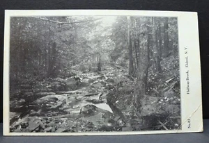 Postcard Eldred NY Halfway Brook - Picture 1 of 2