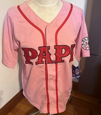 NWT MLB DAVID ORTIZ PAPI JERSEY YOUTH SIZE L (14-16) - Image 1 of 4