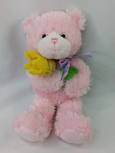Gund Message Bear Plush Pink Flowers I Love You 10 Inch 320542 Stuffed Animal - Picture 1 of 5