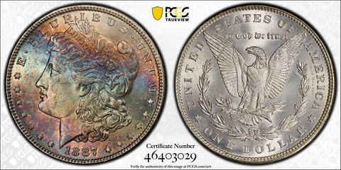 Top 100 1887-P Morgan Dollar PCGS MS64 Vam 12 Alligator Eye Rainbow Toned W/Vid Cover