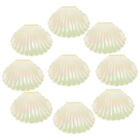  10 Pcs Christmas Cookie Case Seashell Party Decor Candy Box Halloween