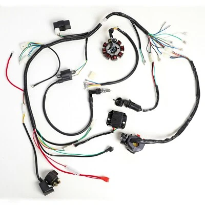 ARNÉS DE CABLEADO BOBINA CDI COMPLETO ELÉCTRICO ATV QUAD 200CC 250CC ZONGSHEN LIFAN Foto 1 de 4