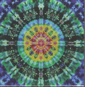 Grateful Dead- Sunshine Daydream 3 CD + Blu Ray Set - Imagen 1 de 2