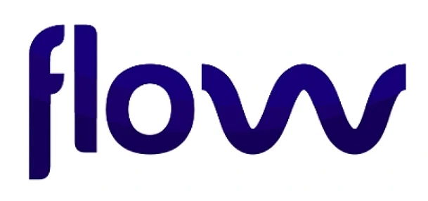 Flow.info - nombre de dominio premium Foto 1 de 1