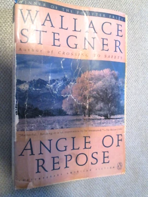 Angle Of Repose By Wallace Stegner American History Fiction Softback Book — 第 1/4 张图片