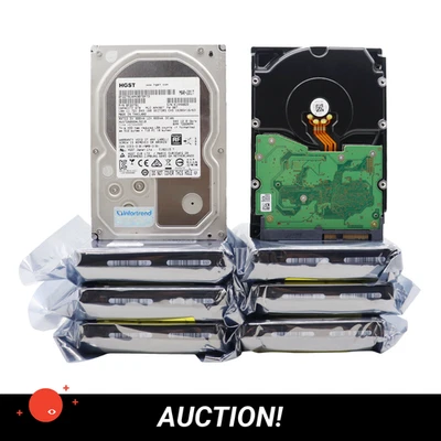 (48TB)8x HGST 6TB SAS-3.0 12Gb/s 7200RPM HUS726060AL5210 0F22791 HDD - Bild 1 von 3