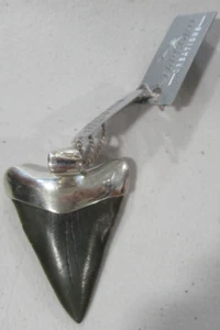 Starborn Creations Cap Pendant Sterling Silver Fossil Shark GRAY Tooth Lg *NWT - Picture 1 of 5