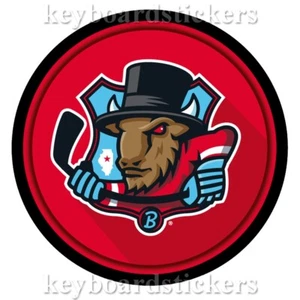 Disco de hockey de recuerdo ECHL Bloomington Bison 2024-2025 - Nuevo equipo de expansión - Imagen 1 de 2