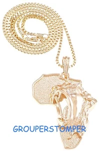 Lion On Africa Map Pendant Necklace - Picture 1 of 10