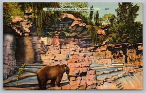 Postal Bear Pits Forest Park Zoo St Louis Missouri MO Brown Bear Lino - Imagen 1 de 2