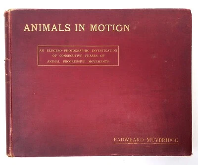 1902 Animals in Motion by Eadweard Muybridge - Image 1 of 4