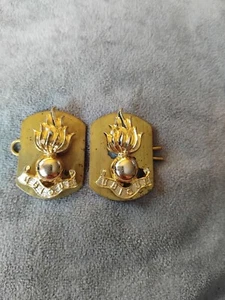 Royal Engineers Collar Badge - Picture 1 of 3