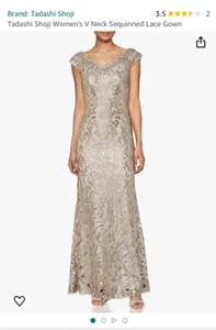 Tadashi Shoji Gown Formal Champagne Embroidered Lace Women's Size 12 MSRP $362 - Picture 1 of 11