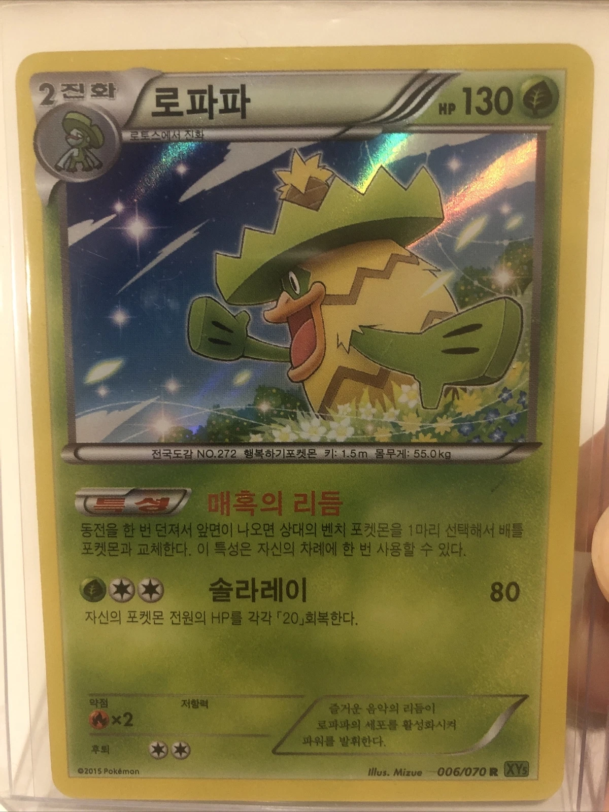 Ludicolo Holo R (1st Ed) Pokemon Card 006/070 XY5 Tidal Storm Near Mint