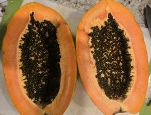 50 Fresh Seeds,  Red Heart Creamy Papaya Seeds - Home Garden Fresh - Picture 1 of 3