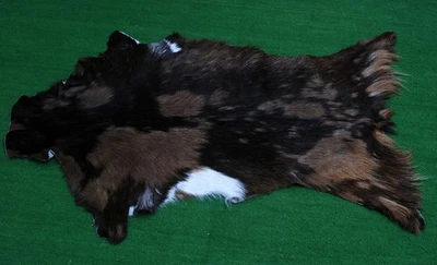 GOAT Western taxidermy Hide Rug Natural Pattern Fur Goat Hide Rode SA-1251 - Image 1 of 3
