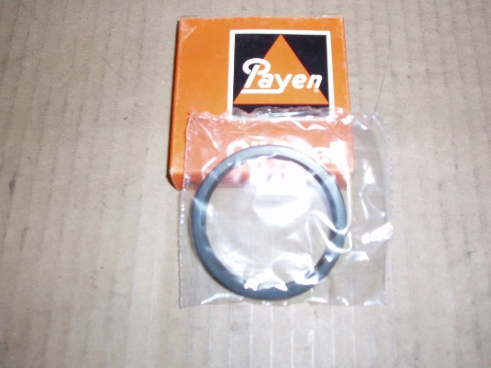 Renault R5 1972 - 1985 cubo trasero sello de aceite Payen NF493 Foto 1 de 1