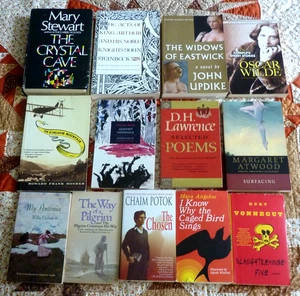 Classic & Contemporary Literature Mixed Lot of 13 books - Picture 1 of 24